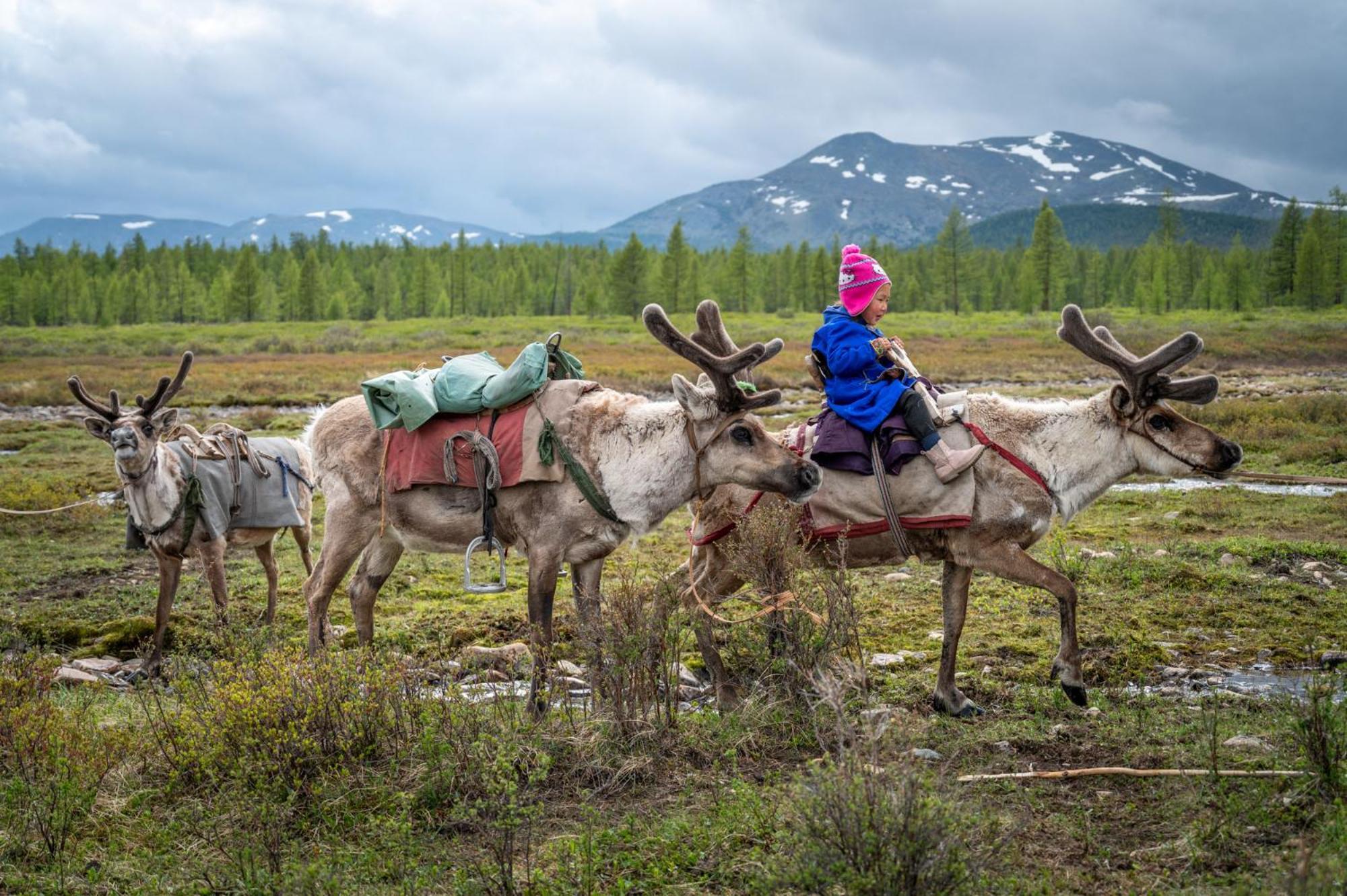 Gobi-Girl Hotell Ulan Bator Eksteriør bilde
