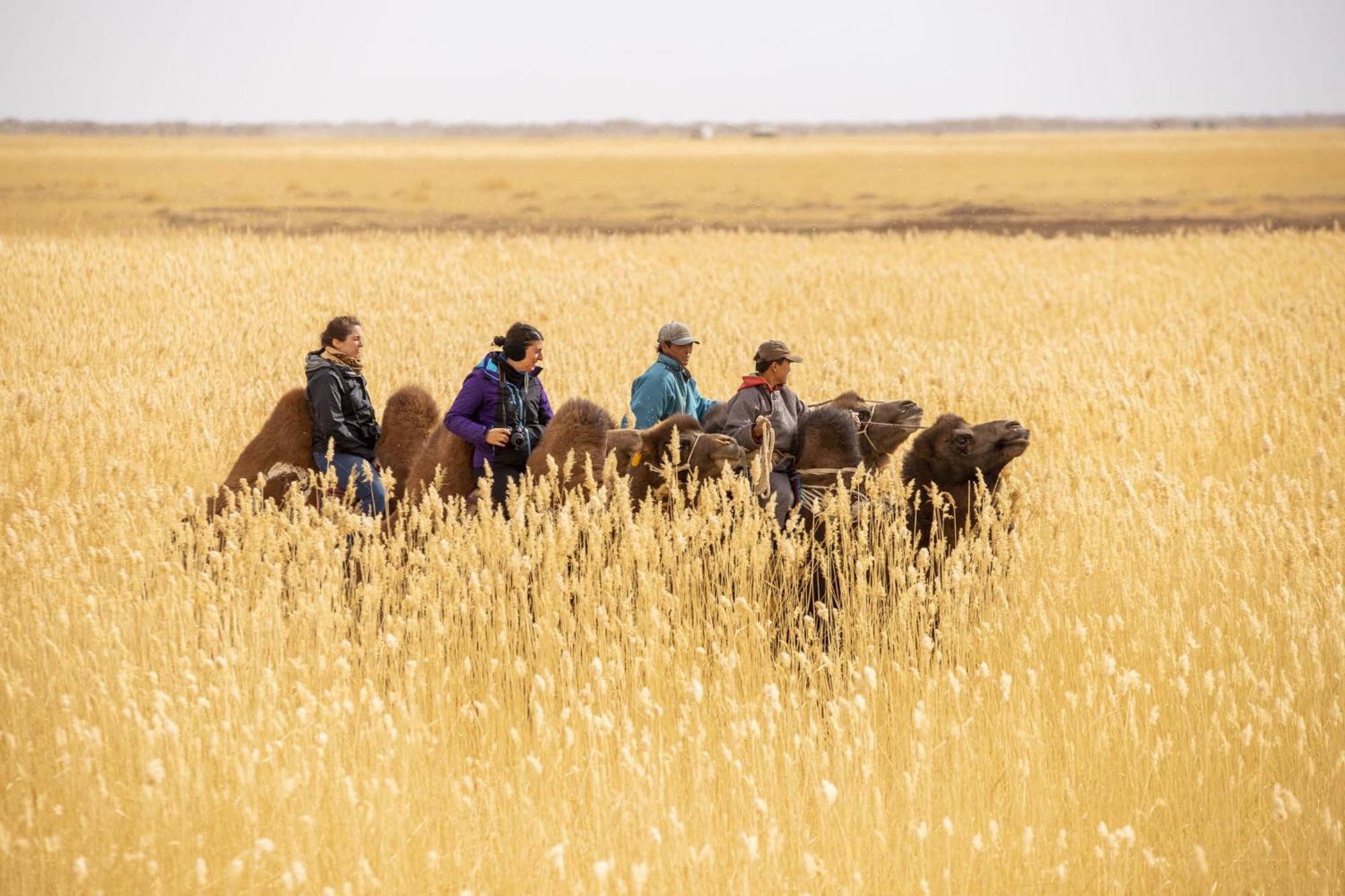 Gobi-Girl Hotell Ulan Bator Eksteriør bilde