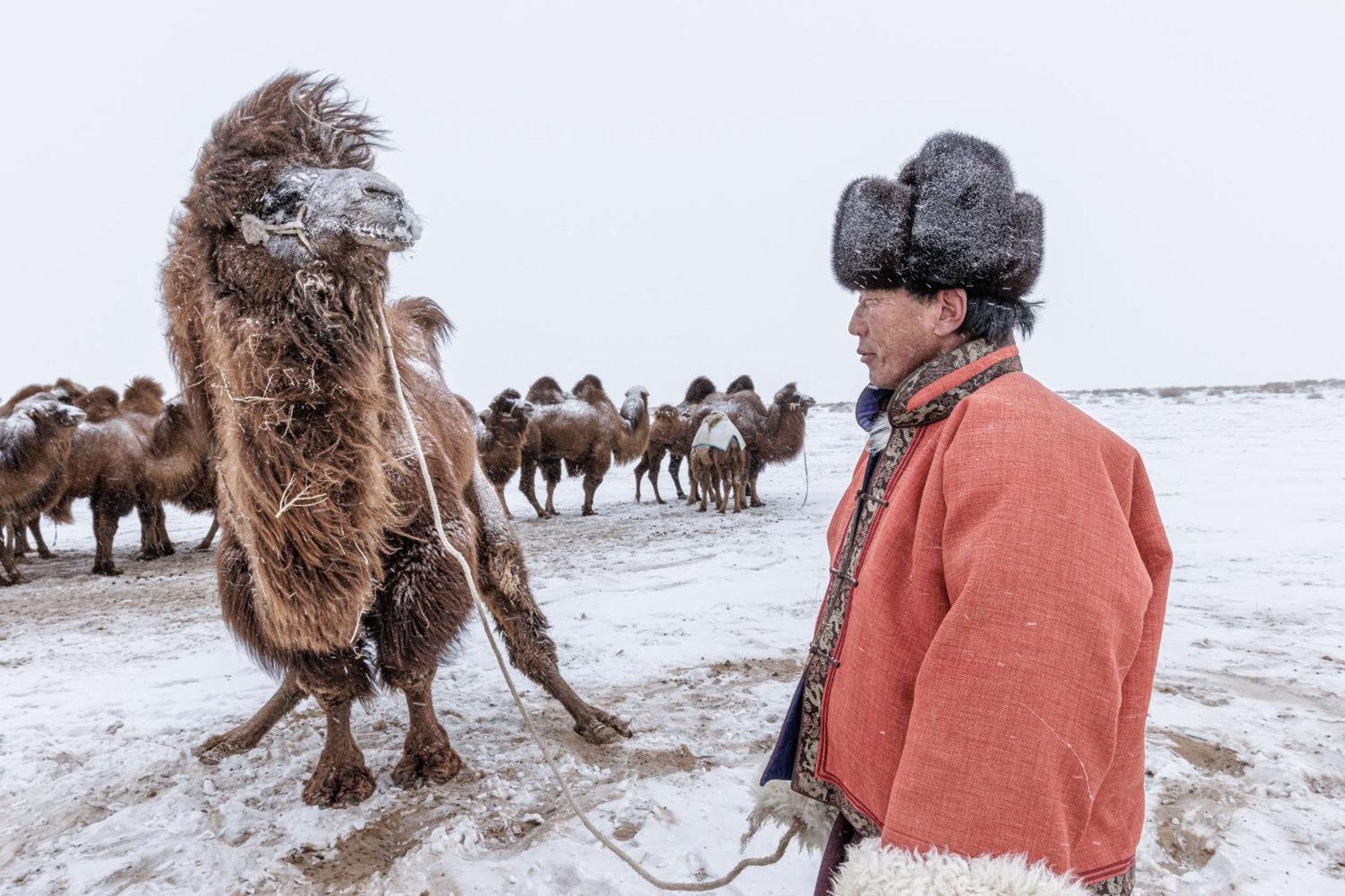 Gobi-Girl Hotell Ulan Bator Eksteriør bilde