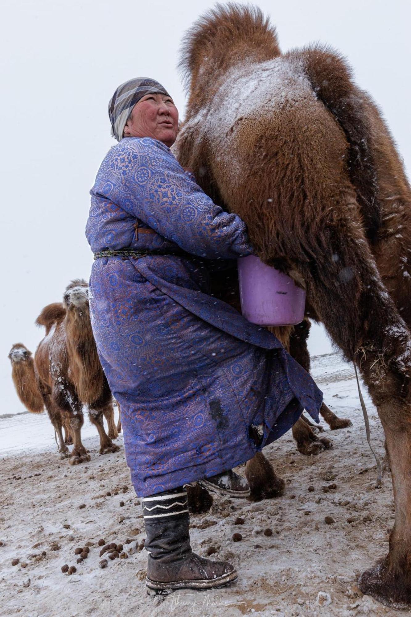 Gobi-Girl Hotell Ulan Bator Eksteriør bilde