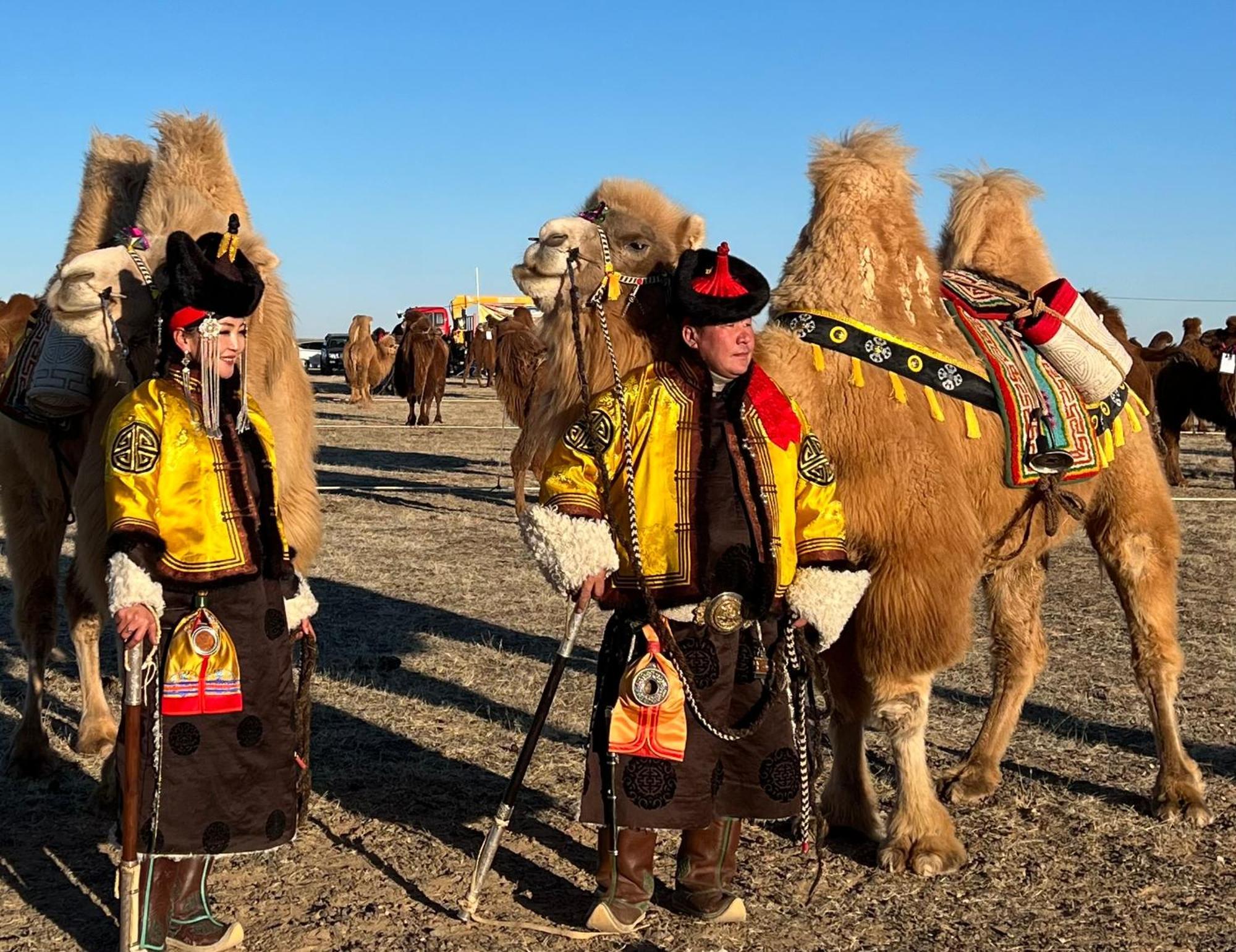 Gobi-Girl Hotell Ulan Bator Eksteriør bilde